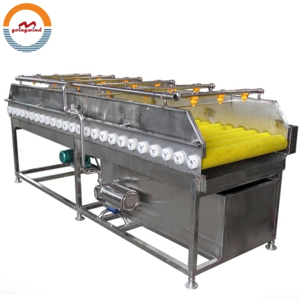 Good Price Automatic Fruit and Vegetable Brush Washing Machine Auto Industrial Fruits Vegetables Brush Washer for Sale