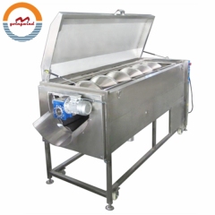Automatic Industrial Carrot Brush Cleaning Machine Auto Electric Carrots Polish Washing and Peeling Equipment for Sale