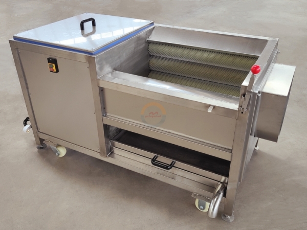 Good Price Automatic Industrial Carrot Brush Washer and Peeler Machine Auto Commercial Small Electric Cleaner Equipment for Sale