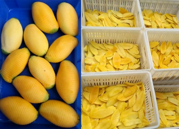 Automatic mango Peeling Machine Auto Industrial Fruit Mangoes Professional Skinning Pitting and Slicing Machines for Sale