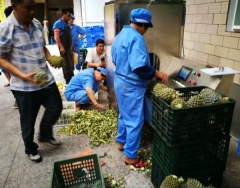 Good Price Automatic Pineapple Skin Peeling Machine Auto Commercial Industrial Skinning and Coring & Slicing Equipment for Sale