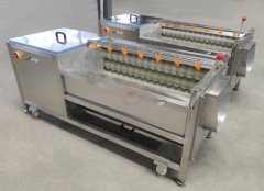 Good Price Automatic Commercial Ginger Brush Washer and Peeler Machine Auto Small Capacity Industrial Gingers Cleaner for Sale