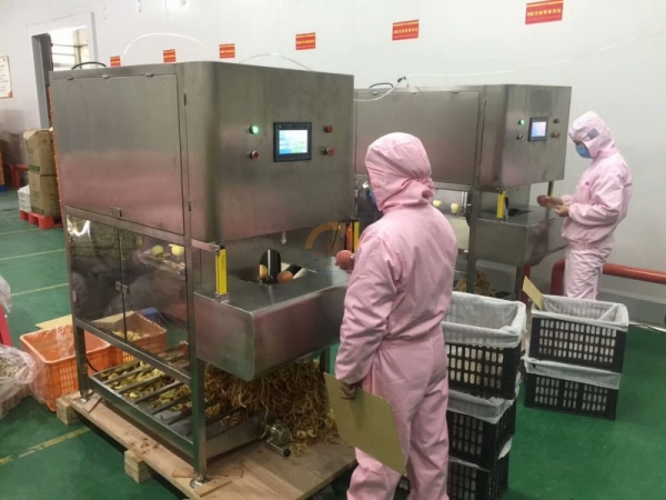 Good Price Automatic Commercial Fruit Peeling Machine Auto Industrial Multifunctional Fruits Skin Removing Machines for Sale