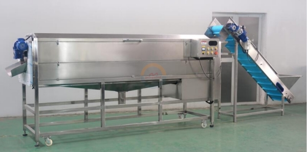 Good Price Automatic Industrial Carrot Brush Washing and Peeling Machine Auto Carrots Brushing Polishing Equipment for Sale