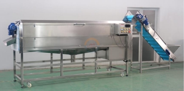 Good Price Automatic Industrial Carrot Brush Washing and Peeling Machine Auto Carrots Brushing Polishing Equipment for Sale
