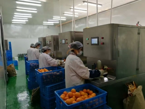 Automatic Industrial Orange Peeler Machine Auto Commercial Stainless Steel Electric Oranges Skin Peel and Juicer for Sale
