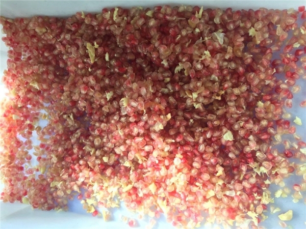 Automatic Commercial Pomegranate Peeling Seed Removing Machine Auto Industrial Peeler Seeds Separator Deseeder for Sale
