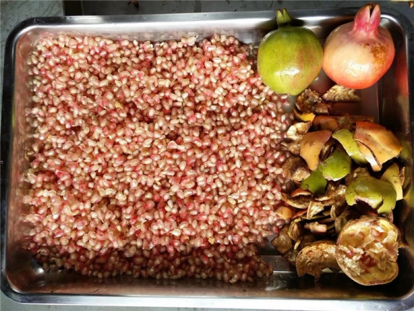 Automatic Commercial Pomegranate Peeling Seed Removing Machine Auto Industrial Peeler Seeds Separator Deseeder for Sale