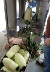 Automatic Commercial Pumpkin Peeling Machine Auto Industrial Flat Pumpkins Fruit Skin Peeler Skinning Equipment for Sale