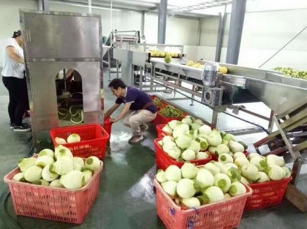 Automatic Commercial Pumpkin Peeling Machine Auto Industrial Flat Pumpkins Fruit Skin Peeler Skinning Equipment for Sale