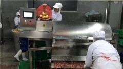 Automatic Commercial Pomegranate Peeling Seed Removing Machine Auto Industrial Peeler Seeds Separator Deseeder for Sale