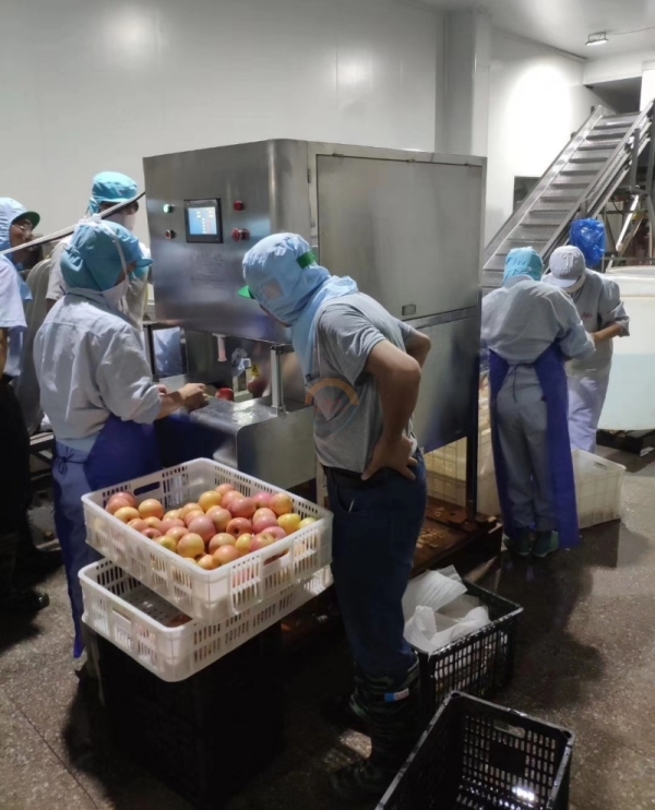 Automatic Commercial apple Peeling and Coring Machine Auto Industrial High Capacity Electric Peeler Equipment for Sale