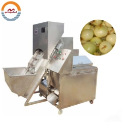Good Price Automatic Commercial Onion Peeling Machine Auto Industrial Continuous Dry Onions Skinning Equipment China for Sale
