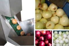 Good Price Automatic Commercial Onion Peeling Machine Auto Industrial Continuous Dry Onions Skinning Equipment China for Sale