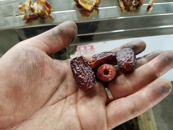 Automatic Commercial Medjool Dates Pitting Machine Auto Industrial Professional Date Seeds Pitter Equipment Machines for Sale