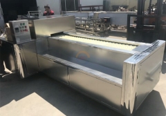 Automatic Apricot Pitting Stone Removing Machine Auto Industrial Peach plum Avocado Stoning Seed Remove Pitter Stoner for Sale