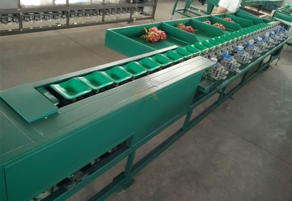 Industrial Automatic Fruit Grader Machine Auto Small Scale Fruits Weight Sorter Classify Sorting Grading Line for Sale