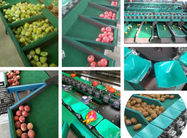 Automatic Potato Weight Grading Sorting Machine Auto Sweet Potatoes Weight Sorter and Grader Machines Equipment for Sale