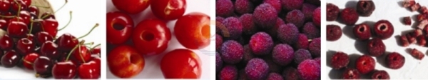 Good Price Automatic Commercial Cherry Pitting Machine Auto Industrial Professional Electric Cherries Stone Pitter for Sale