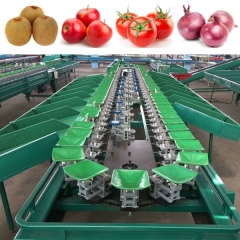 Industrial Automatic Fruit Grader Machine Auto Small Scale Fruits Weight Sorter Classify Sorting Grading Line for Sale