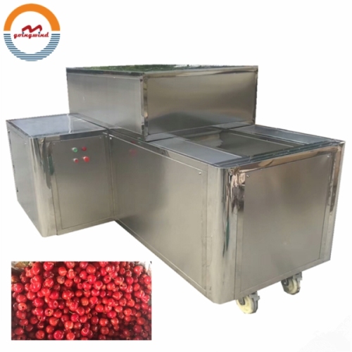 Good Price Automatic Commercial Cherry Seed Removing Stoning Machine Auto Industrial Cherries Pitter Remover Stoner for Sale