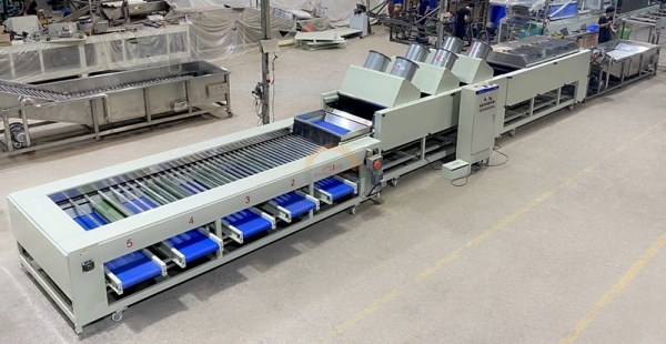 Good Price Automatic Sweet Potatoes Washing Drying and Grading Machine Auto Potato Dry Cleaning, Sorting Packing Line for Sale