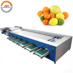 Good Price Automatic Vegetable Size Grading Sorting Machine Auto Vegetables Sizing and Classifying Sorter Grader Sizer for Sale