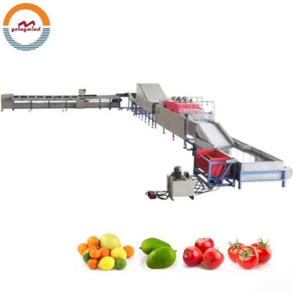 Good Price Automatic apple Washing Waxing Drying and Grading Machine Auto Industrial Apples Cleaning, Sorting Line for Sale