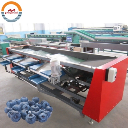 Good Price Automatic Commercial Blueberry Size Grading Sorting Machine Auto Industrial Blueberries Sizing Grader Sorter for Sale