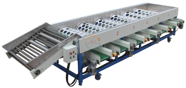 Automatic Commercial Round Fruit Grading Sorting Machine Auto Industrial Round Fruits Size Grader Sorter Equipment for Sale