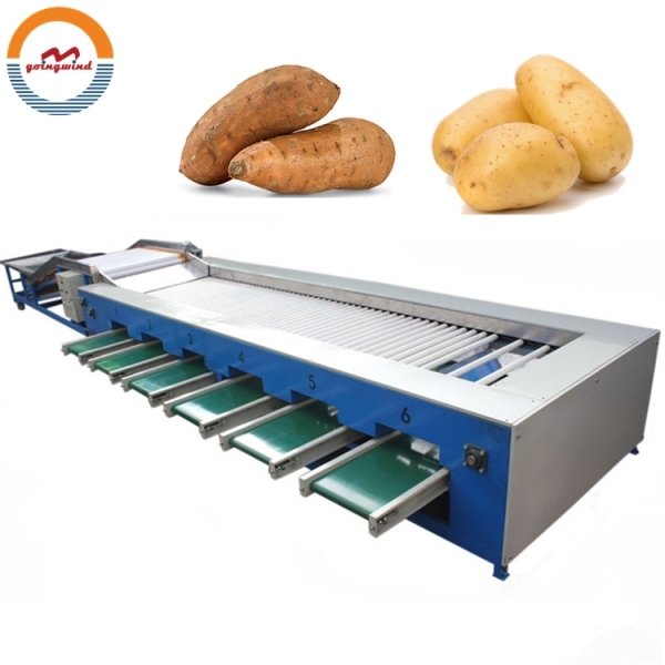 Automatic Potato Size Grading Sorting Machine Auto Sweet Potatoes Radial Sorter and Grader Line Machines Equipment for Sale