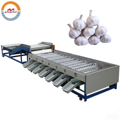 Good Price Automatic Garlic Size Grading Sorting Machine Auto Industrial Garlics Sizing Sorter and Grader Equipment for Sale