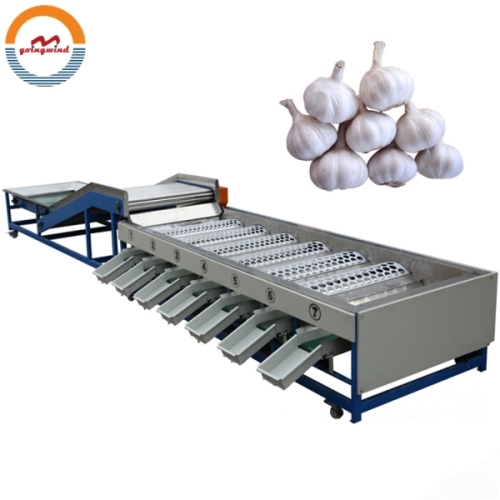 Good Price Automatic Garlic Size Grading Sorting Machine Auto Industrial Garlics Sizing Sorter and Grader Equipment for Sale