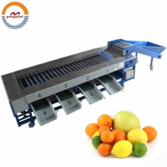 Automatic Commercial Small Fruit Size Sorting Grading Machine Auto Industrial Fruits Sorter Grader Classifier for Sale
