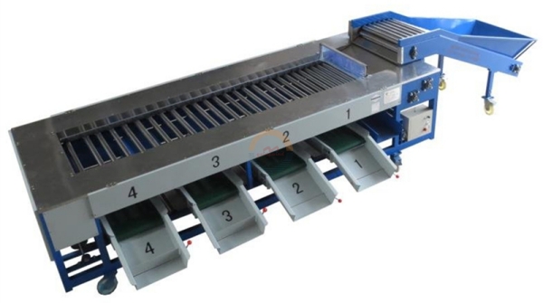 Automatic Potato Size Grading Sorting Machine Auto Sweet Potatoes Radial Sorter and Grader Line Machines Equipment for Sale