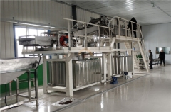 Good Price Automatic Commercial Raisin Production Line Auto Industrial Raisins Washing Drying Machine Wash Dehydrator for Sale