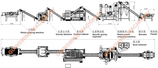 Automatic Commercial Raisin Processing Line Full Auto Industrial Raisins Pre-processing Machine Plant Equipment for Sale