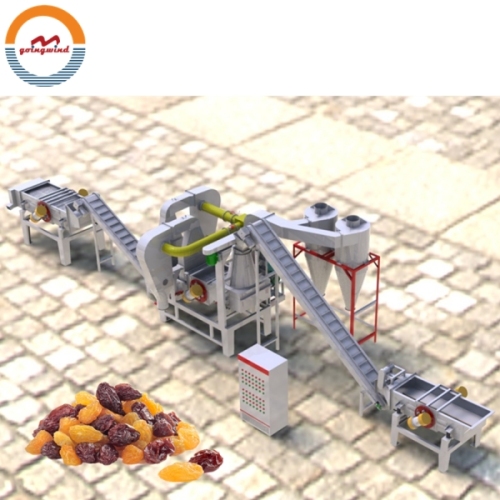 Good Price Automatic Raisin Stem Removing and Cleaning Machine Auto Raisins Stems Remover Cleaning Sorting Line for Sale