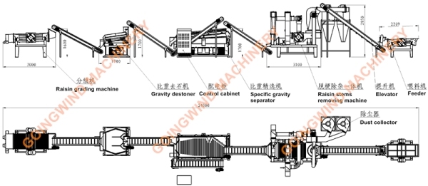 Good Price Automatic Commercial Raisin Destoner Machine Auto Industrial Raisins Stone Remover Gravity Stoner for Sale