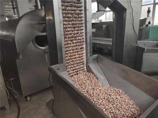 Automatic Continuous Nut Roasting Machine Auto Continous Cocoa Bean Dry Nuts Electric Gas Roaster Continues Roasters for Sale