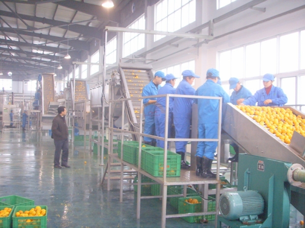 Automatic Commercial Fruit Juice Production Line Fully Auto Industrial Complete Juice Processing Plant Machine for Sale