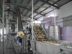 Automatic Commercial Fruit Juice Production Line Fully Auto Industrial Complete Juice Processing Plant Machine for Sale