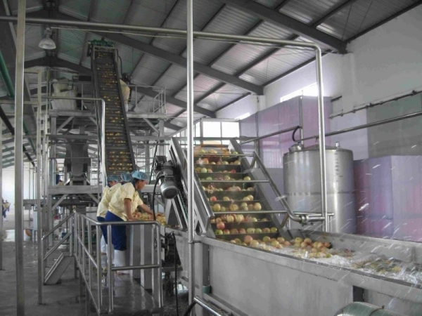 Automatic Ginger Juice Production Line Auto Industrial Tea Drink Processing Plant Equipment Factory Making Machines for Sale