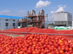 Automatic Tomato Sauce Making Plant Equipment Auto Industrial Concentrated Tomato Sauce Processing Line Machine for Sale