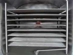 Vacuum Tray Dryer Dehydrator Food Vacuum Drying Chamber Cabinet Herb Low Temperature Fzg Trays Batch Drier Oven for Sale