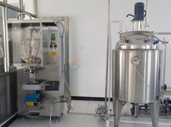 Good Price Automatic Sachet Mineral Water Filling Bagging Machine Poly Bag Filler Form Fill Seal Packaging Machinery for Sale