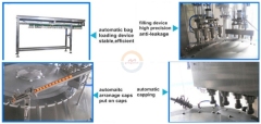 Automatic Yogurt Stand up Pouch Filling Sealing Packing Machine Auto Yoghurt Milk Premade Spout Bag Packaging Machinery for Sale