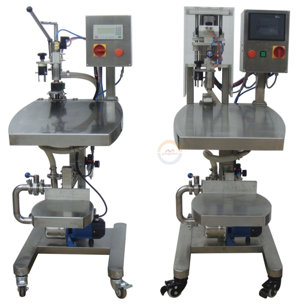 Automatic Bag in Box Filling Packing Machine Fully Auto Liquid Juice Wine Water Oil Paste Bib Pouch Packaging Filler for Sale