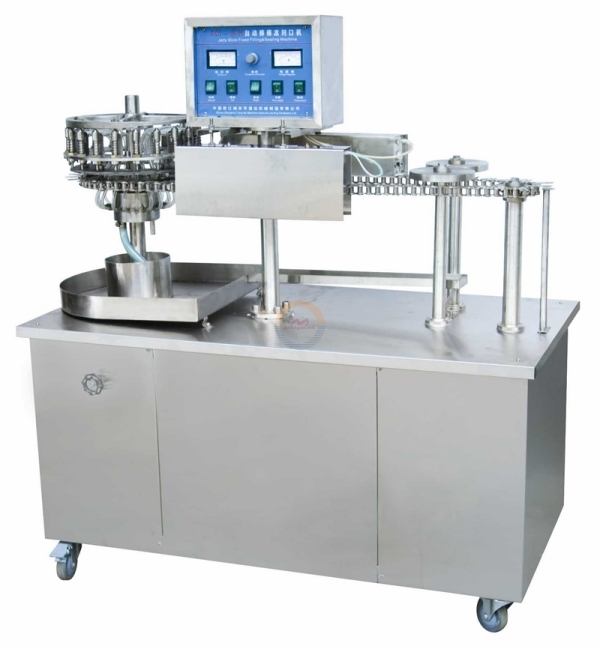 Automatic Ice Freeze Pops Filling and Sealing Machine Auto Soft Toy Bottle Bag Juice Beverage Liquid Small Packing Machinery
