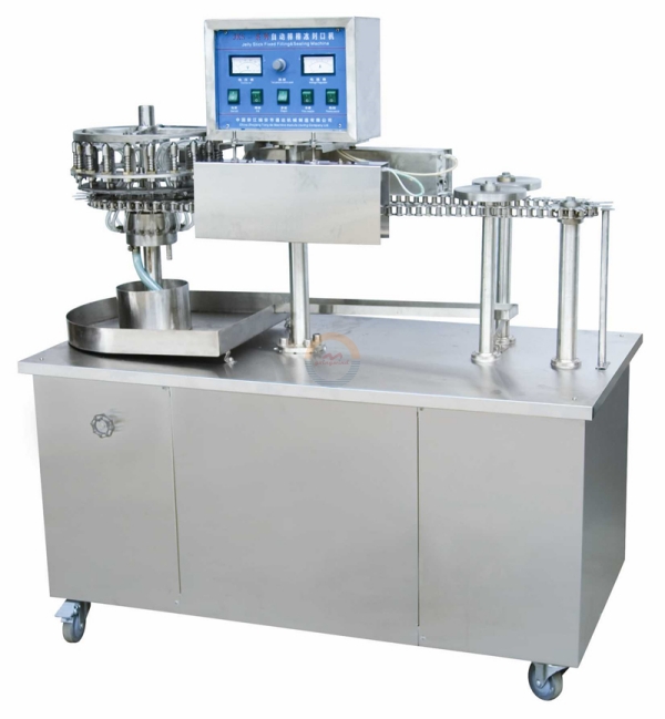 Automatic Ice Pop Filling and Sealing Packing Machine Auto Plastic Lolly Tube Juice Drink Liquid Packaging Machinery for Sale